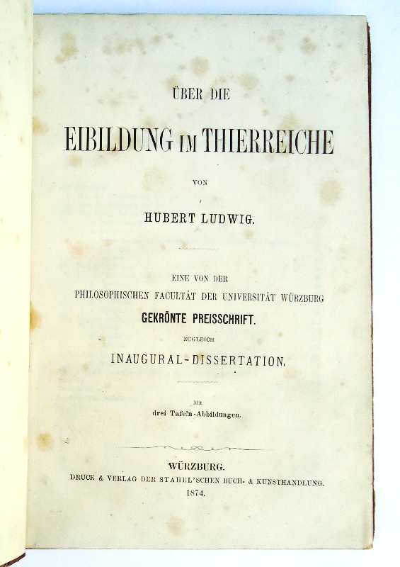 Über die Eibildung im Thierreiche. Eine von der Philosophischen Facultät der Universität Würzburg gekrönte Preisschrift, zugleich Inaugural-Dissertation.